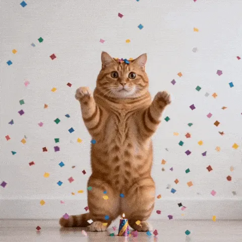 cat confetti happy birthday GIF — orange tabby lifting its paws as colorful party confetti falls