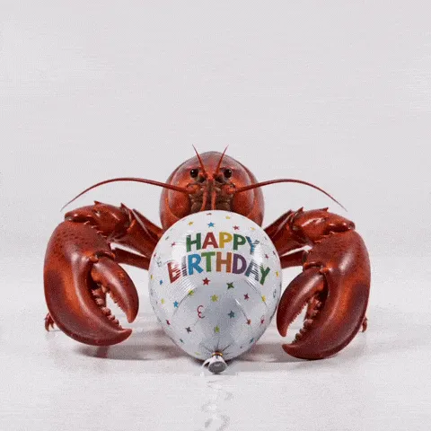 lobster balloon happy birthday GIF — red lobster holding a white birthday balloon between its claws