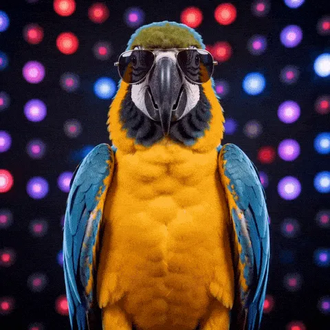 parrot disco happy birthday GIF — yellow-and-blue parrot in sunglasses dancing before colored lights